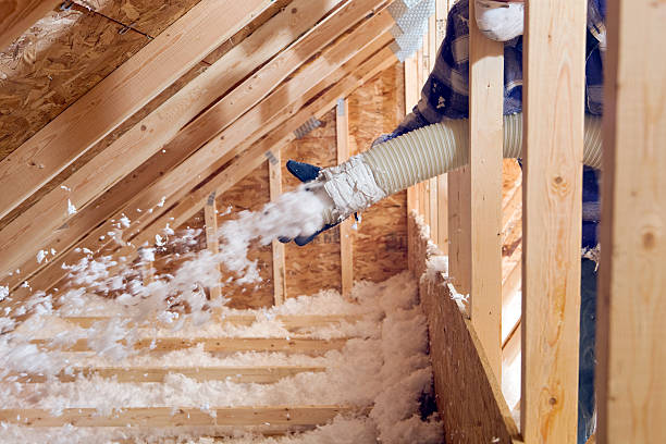 Best Spray Foam Insulation in Sand Ridge, NY