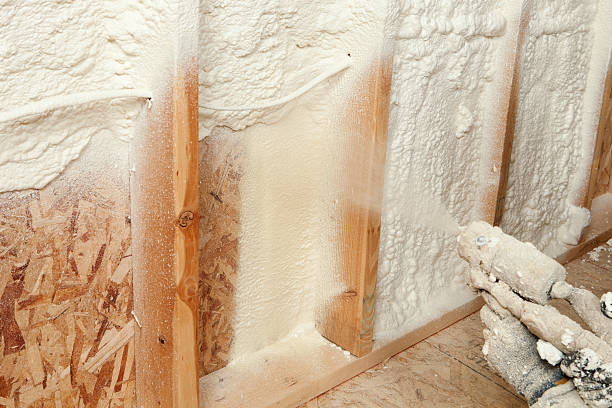 Best Eco-Friendly or Green Insulation Solutions in Sand Ridge, NY