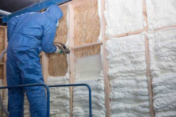 Best Blown-In Insulation in Sand Ridge, NY